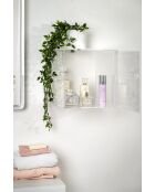 Armoire Murale Clio Pliée