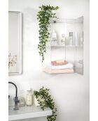 Armoire Murale Clio Double Transparence