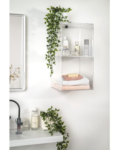 Armoire Murale Clio Double Transparence