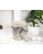 Niche I-Pet Sit Beige