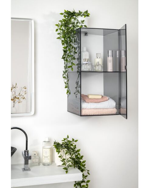 Armoire Murale Clio Double Fumée