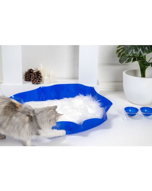 Litière pour chat I-Pet Drape Sit Bleue