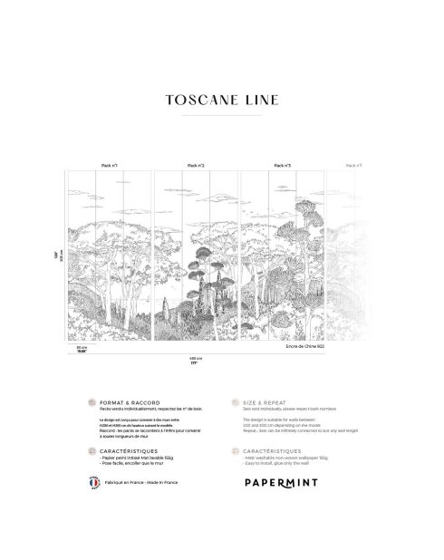 FresqueToscane Line Encre de Chine - 150x305 cm