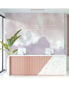 Fresque Ciel Sunset Pink - 150x305 cm