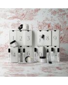 Calendrier de l'Avent 12 cases