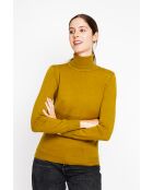 Pull col roulé classique vert olive