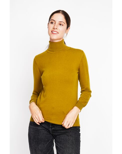 Pull col roulé classique vert olive