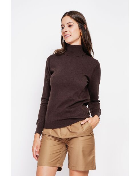 Pull col roulé classique café
