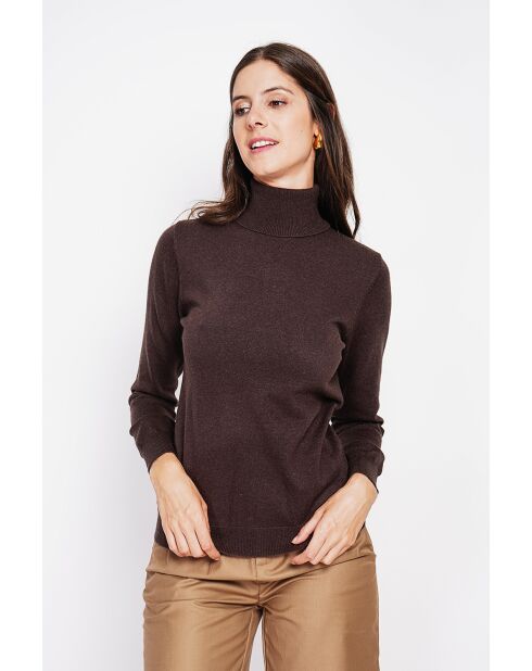 Pull col roulé classique café