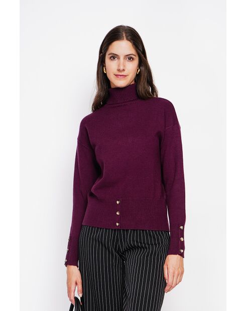 Pull col roulé bordeaux