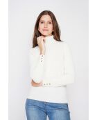 Pull col roulé classique naturel