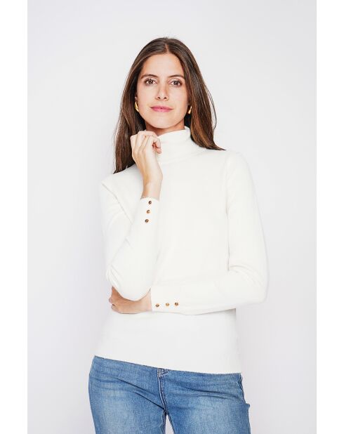 Pull col roulé classique naturel