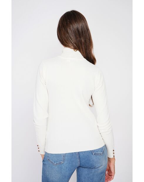 Pull col roulé classique naturel