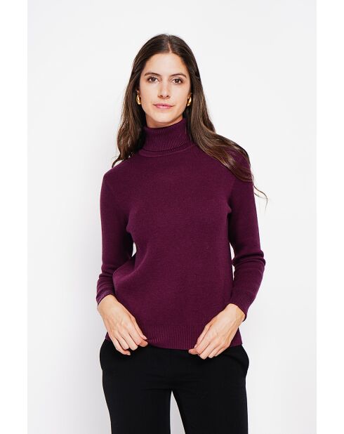 Pull col roulé fourré bordeaux