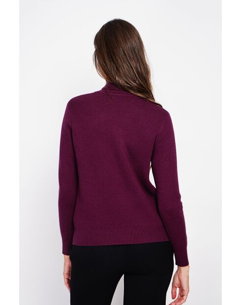 Pull col roulé fourré bordeaux