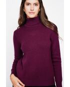 Pull col roulé fourré bordeaux