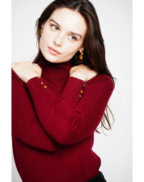 Pull col roulé classique bordeaux