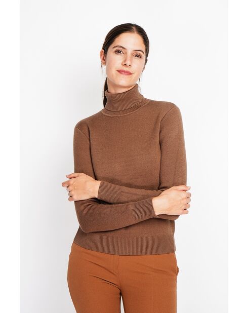 Pull col roulé fourré marron