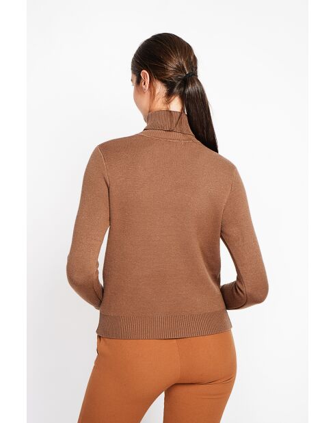 Pull col roulé fourré marron