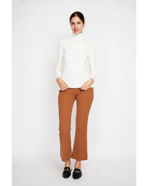 Pull col roulé classique naturel