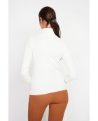 Pull col roulé classique naturel