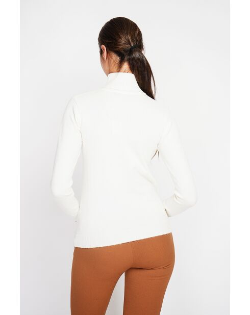 Pull col roulé classique naturel