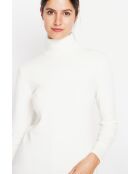 Pull col roulé classique naturel