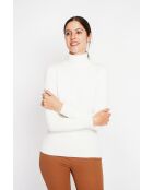 Pull col roulé classique naturel