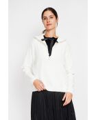 Pull camionneur naturel