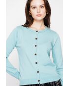 Gilet col ras du cou turquoise