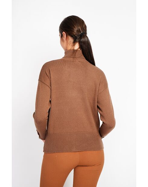 Pull col roulé marron