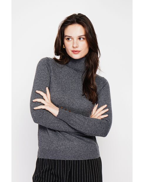 Pull col roulé classique loup