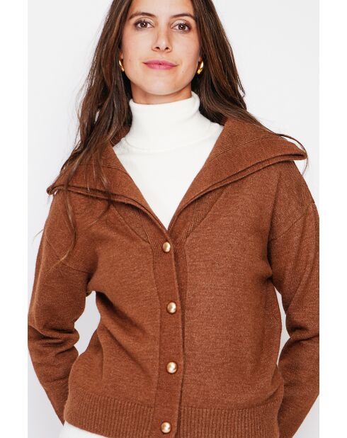 Gilet double col marron