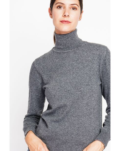 Pull col roulé classique loup