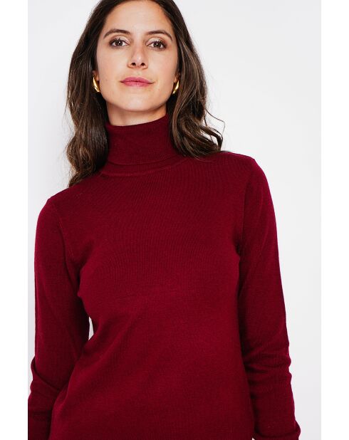 Pull col roulé classique bordeaux