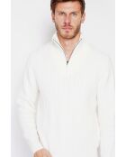 Pull col camionneur naturel