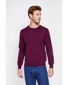 Pull col rond bordeaux