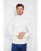 Pull col roulé naturel