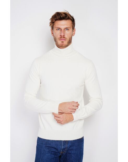 Pull col roulé naturel