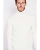 Pull col roulé naturel