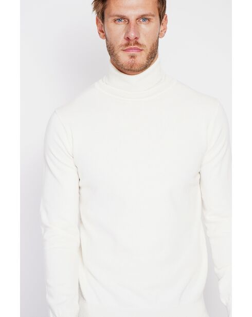 Pull col roulé naturel