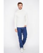 Pull col roulé naturel