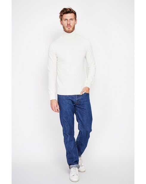 Pull col roulé naturel