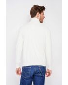 Pull col roulé naturel