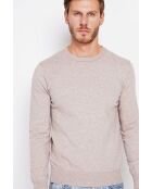 Pull col ras de cou desert