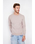 Pull col ras de cou desert