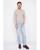 Pull col ras de cou desert