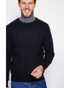 Pull col rond noir