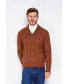Pull col chale marron