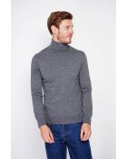 Pull col roulé loup